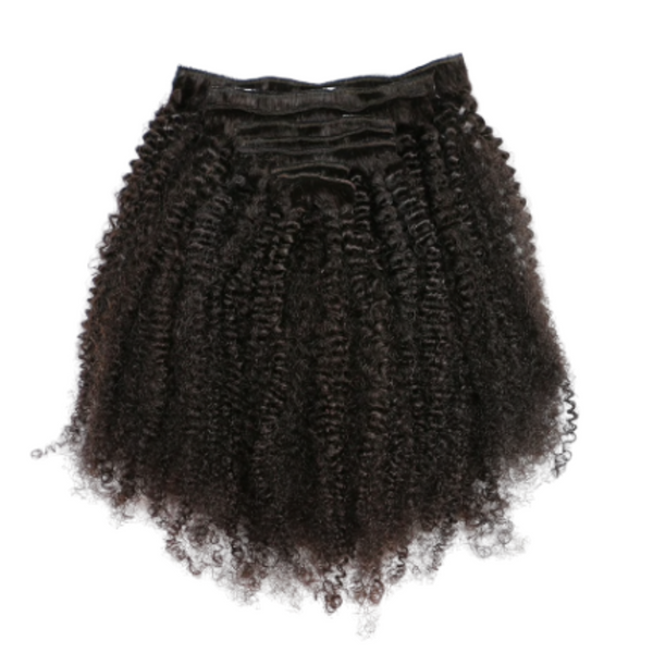 Remixx Curl Clip- Ins