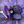 Load image into Gallery viewer, StrandStimulator DermaStamp